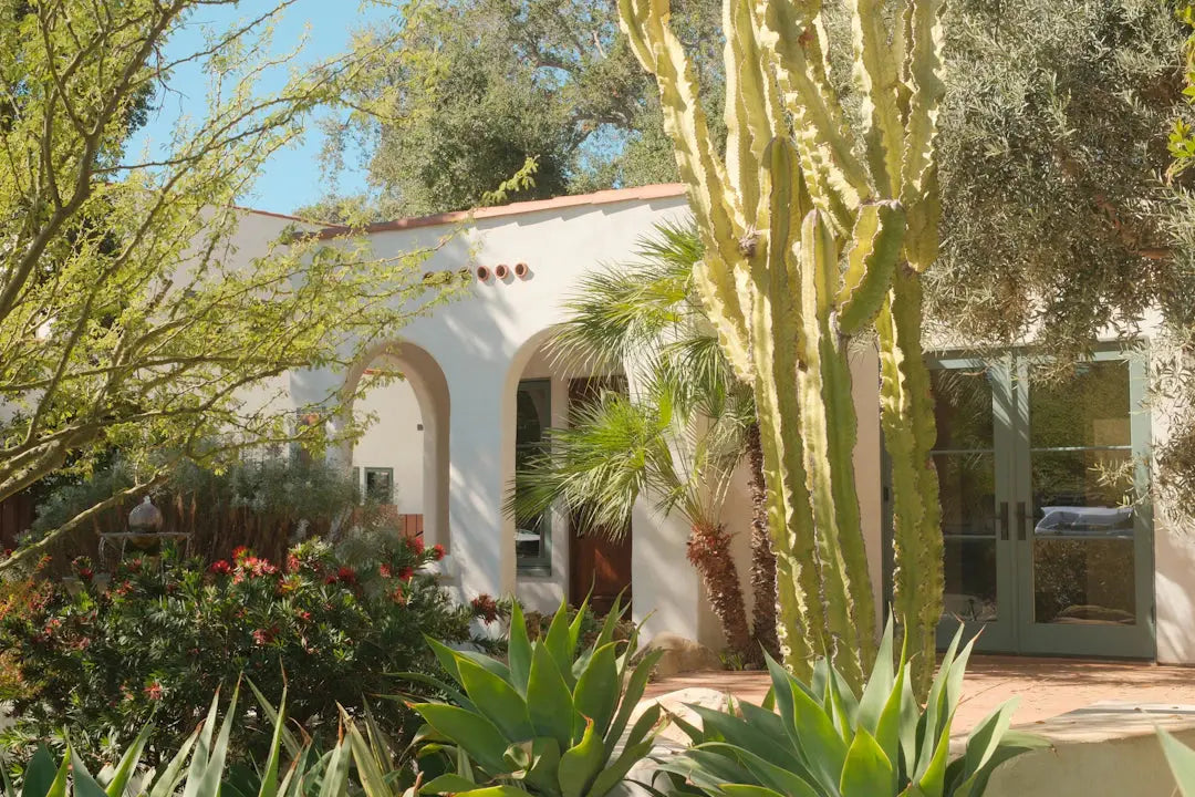 Seasonal Landscaping Tips for Las Vegas Gardens