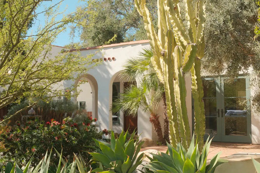 Seasonal Landscaping Tips for Las Vegas Gardens