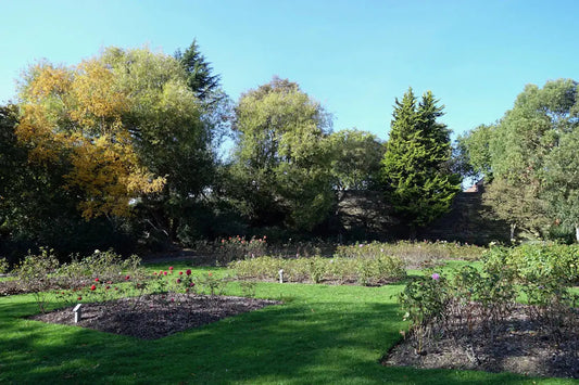 Mastering Seasonal Landscaping Changes for Your Home