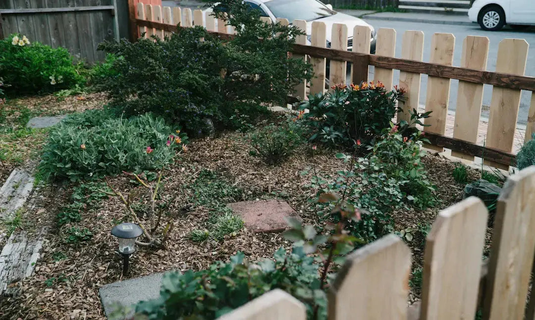 Transform Your Tiny Oasis Creative Landscaping Ideas
