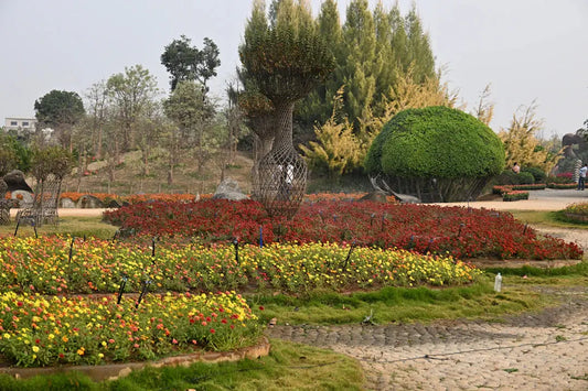 Top Landscape Design Mistakes to Avoid