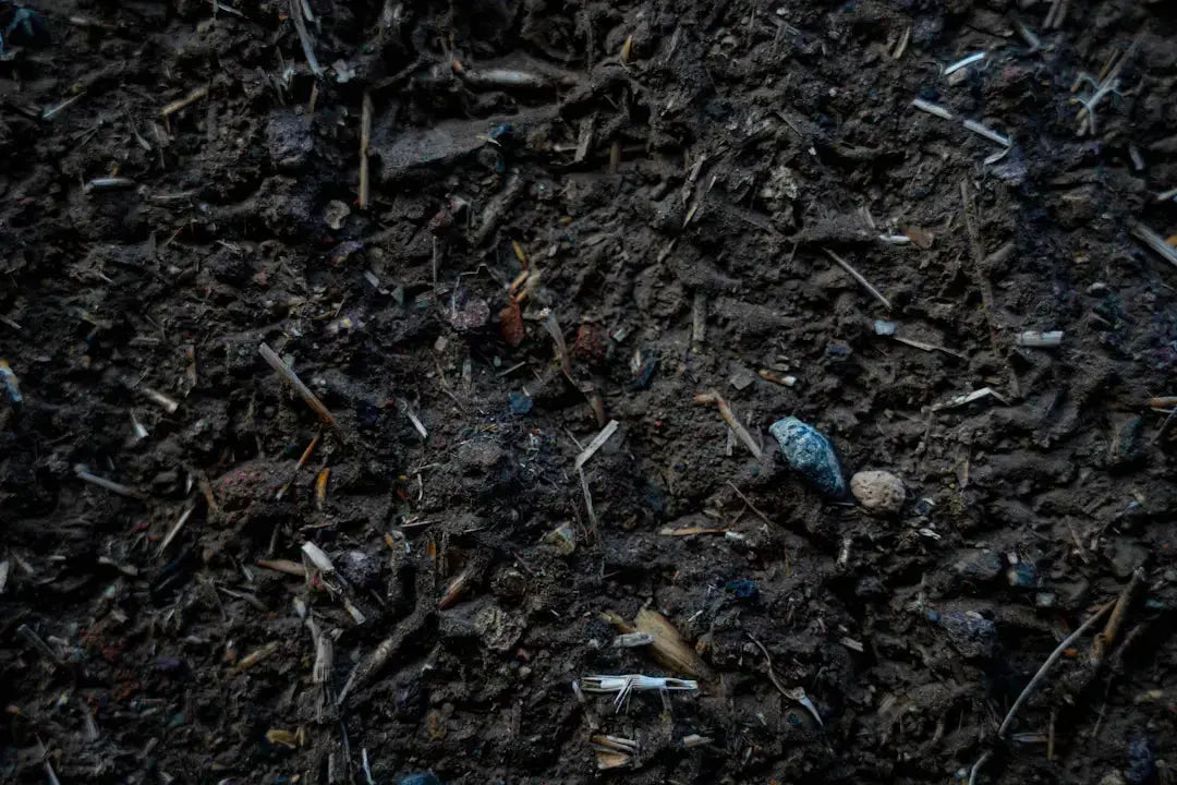 Know Your Soil Key Insights for Better Landscaping