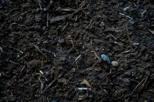 Know Your Soil Key Insights for Better Landscaping