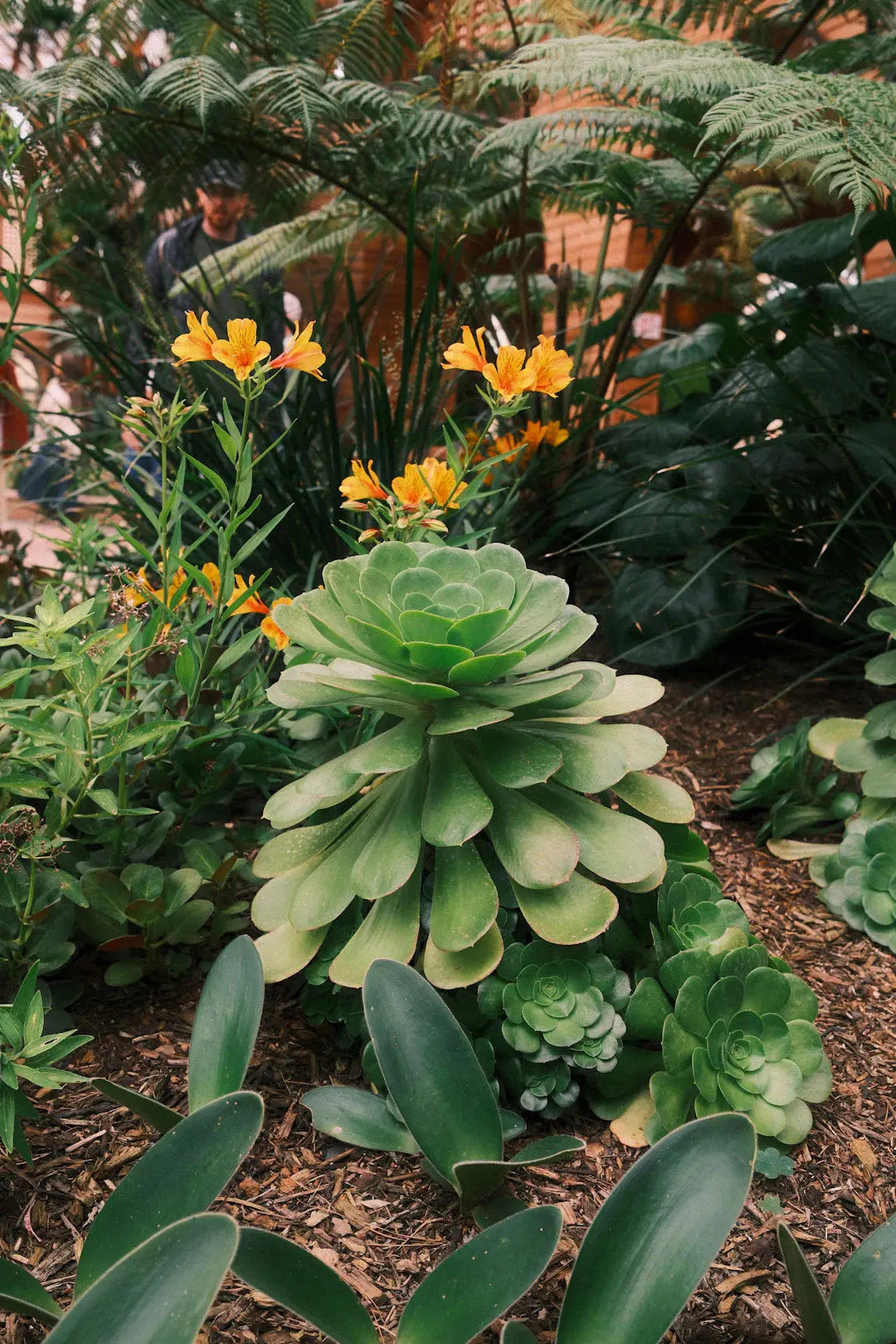 Effortless Beauty Create a Low-Maintenance Landscape