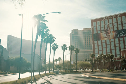 Landscaping Trends for 2026 in Las Vegas