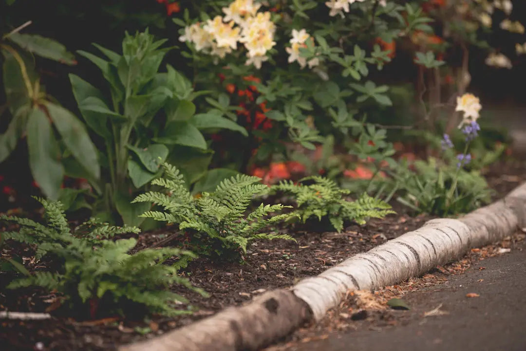 Superior Edge and Trim Techniques for Stunning Landscapes