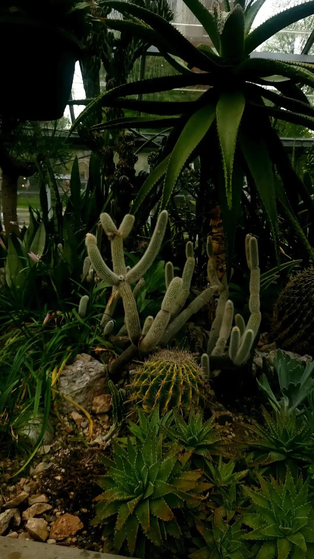 The Benefits of Xeriscaping in Desert Areas