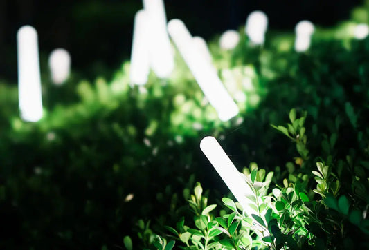 Illuminate Your Outdoors Choosing the Right Landscape Lighting