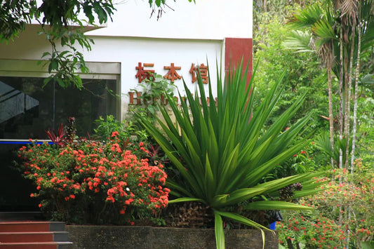 Welcoming Entryway Enhance Your Home with Landscaping