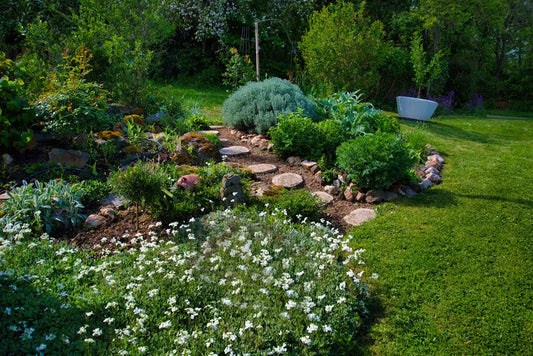 Elevate Your Landscaping with Rocks and Stones