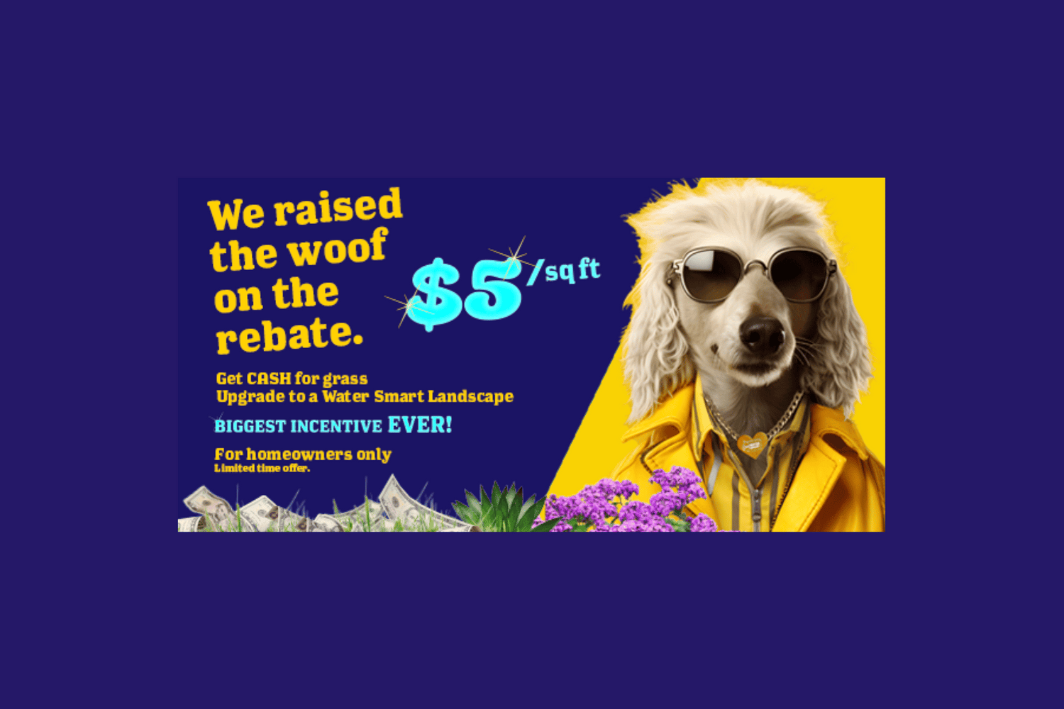 Southern Nevada water authority rebate ad with dog