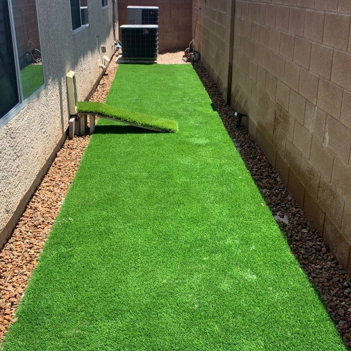 DOG TURF