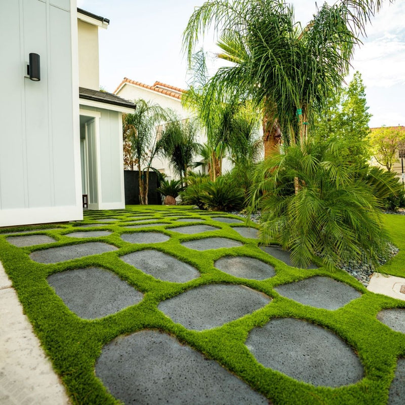Modern paver-and-turf entryway with palms at a contemporary property