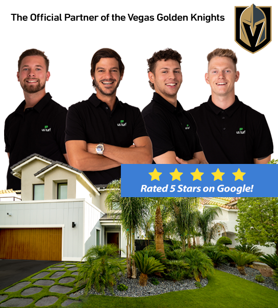 Artificial Grass Las Vegas us turf